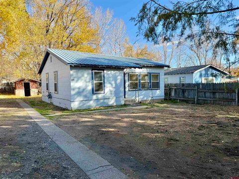 215 S Grand Mesa Drive Cedaredge CO 81413