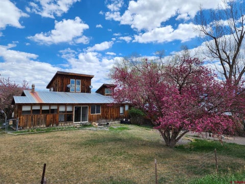 Photo of 214 N Amelia Street, Ridgway, CO 81432 (MLS # 836747)