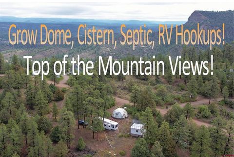 1460 Doc Adams Road Pagosa Springs CO 81147