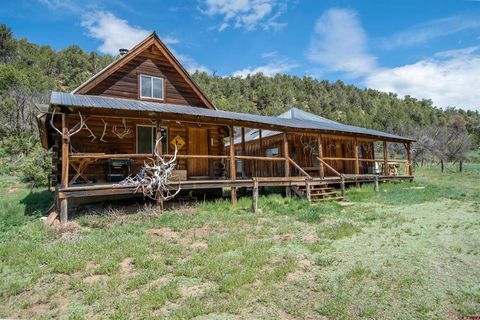 8386 CR 105 Hesperus CO 81326