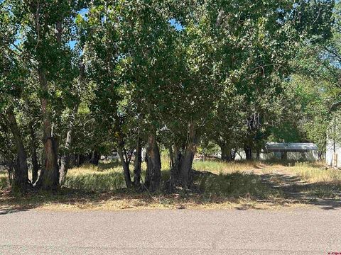 Photo of 610 Grape Street, Nucla, CO 81424 (MLS # 834014)