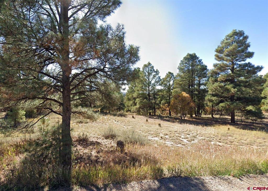Photo 1 of 33 — 454 Prospect Boulevard, Pagosa Springs, CO 81147