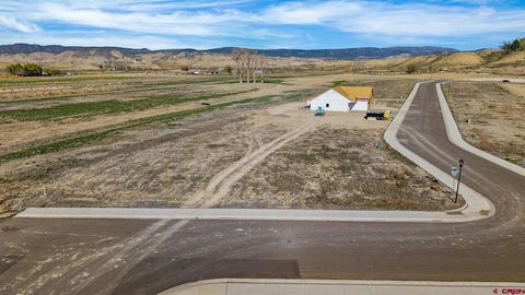 Block 7 Lot 11 TBD Pinewood Street Montrose CO 81401