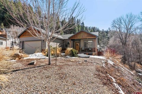 101 Spring Creek Village Court Durango CO 81301