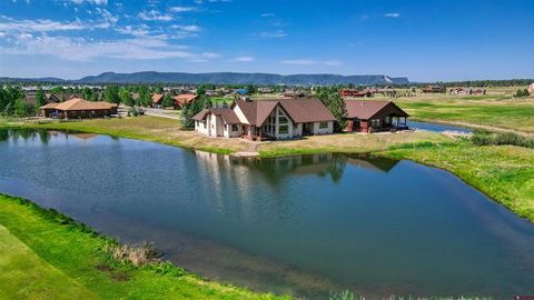 207 Blue Heron Circle Pagosa Springs CO 81147