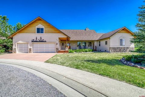 207 Blue Heron Circle Pagosa Springs CO 81147