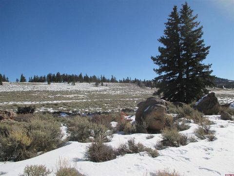 Photo of 1771792 Blue Mesa Drive, Powderhorn, CO 81224 (MLS # 830912)