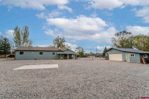 Photo of 62203 Spring Creek Road, Montrose, CO 81403 (MLS # 833534)