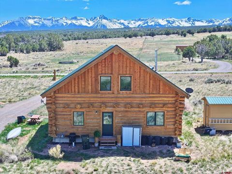 Photo of 221 Snowy Peaks Drive, Montrose, CO 81403 (MLS # 823912)