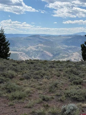 151 TRAILRIDGE TRL, POWDERHORN, CO 81243 - Image 044bce266d35c4e6db2f7afd26771f20/2927433688