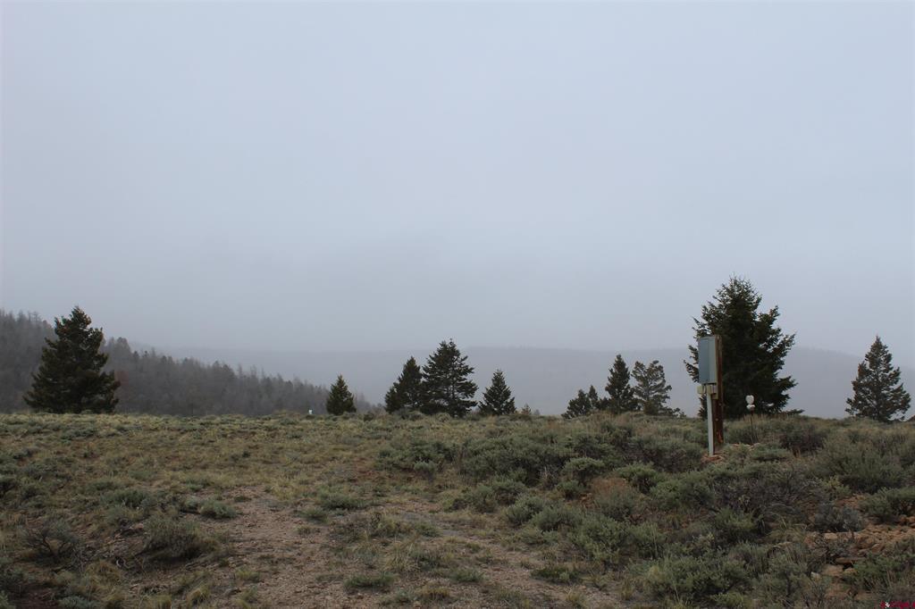 151 Trailridge Trail