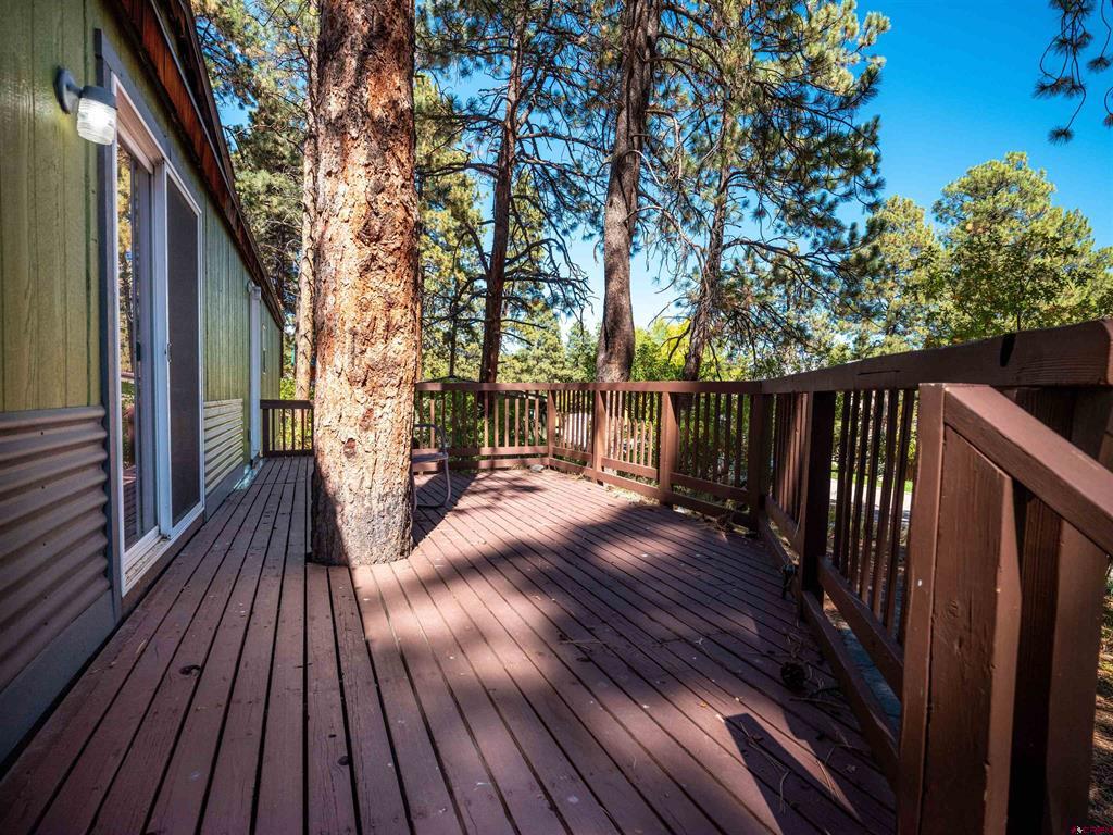 131 Holly Hock Trail