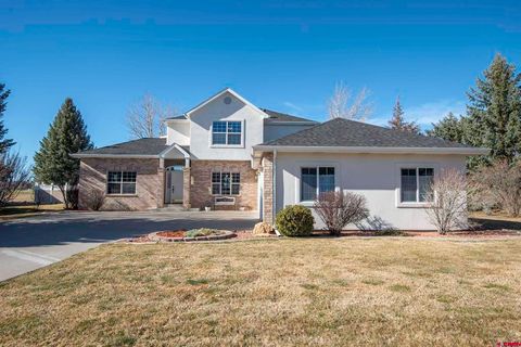 Photo of 581 Cobble Drive, Montrose, CO 81403 (MLS # 832619)