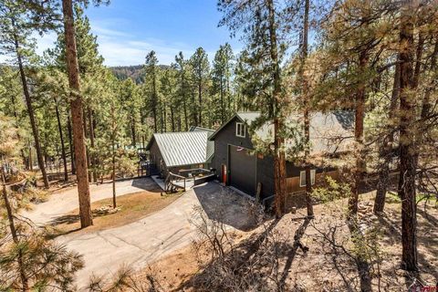 289 Pine Tree Drive Bayfield CO 81122