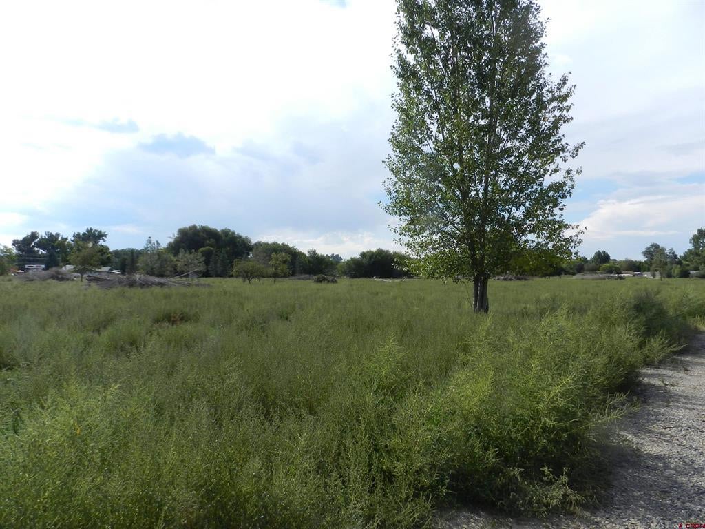 461 , 489 W Main, Spring Creek Rd & 14750 Marine Rd