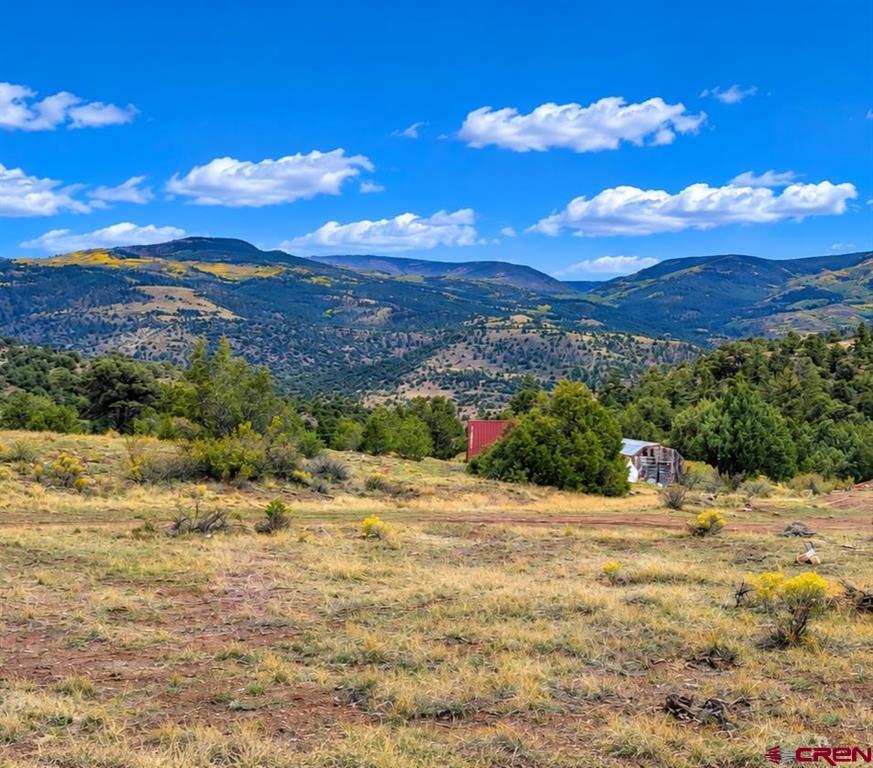 463 Wildhorse Trail