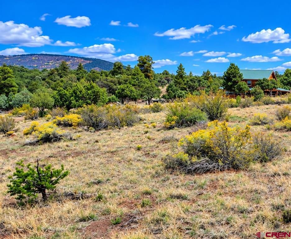 463 Wildhorse Trail