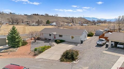 Photo of 16344 6420 Road, Montrose, CO 81403 (MLS # 832015)