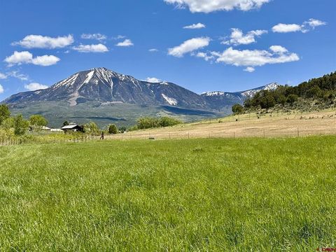 Parcel B, C & D Lamborn Mesa Road Paonia CO 81428