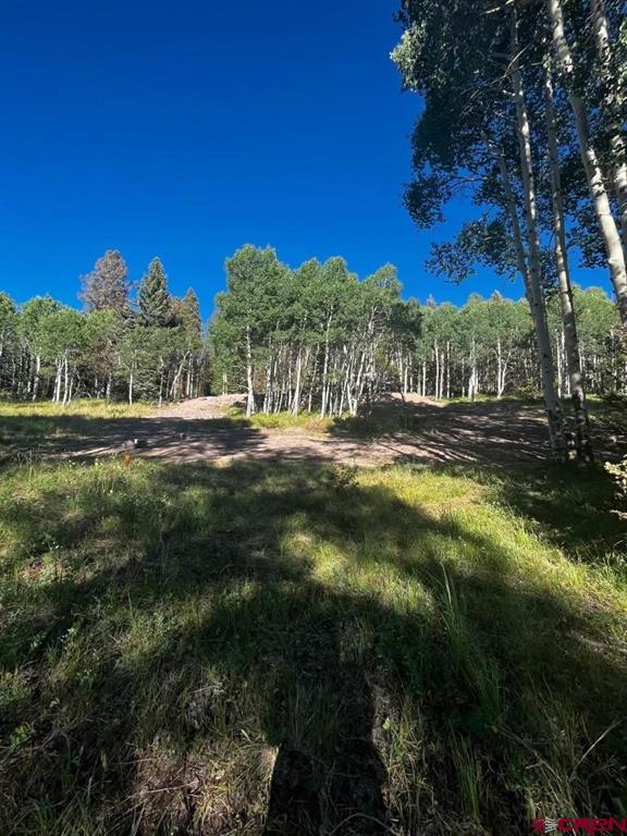 Photo 1 of 17 — 1255 Spruce Road, Cimarron, CO 81220
