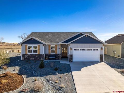 Photo of 3856 Scarlet Court, Montrose, CO 81401 (MLS # 832949)