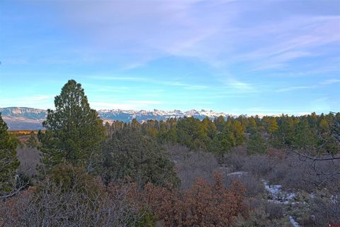TDB Homestead Government Springs Road Roads Montrose CO 81403