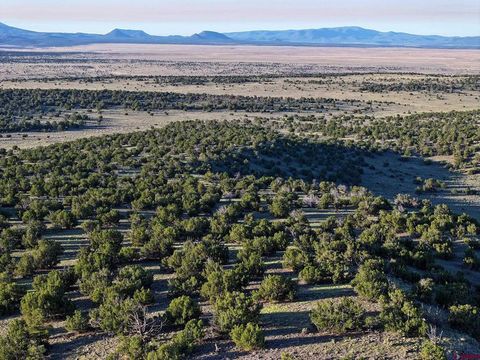 000 Omega Road Quemado NM 87829