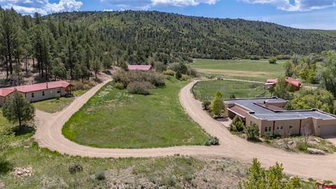 206 Shasta Trail Hesperus CO 81326