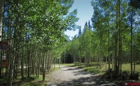 202 Hazel Lake Drive Cimarron CO 81220