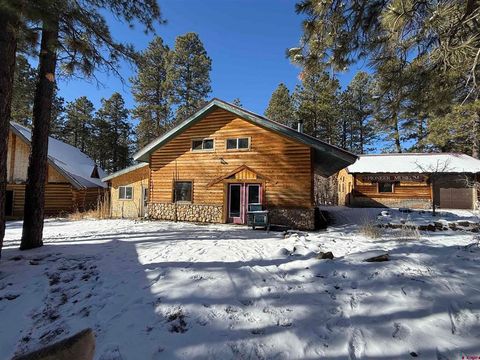 13397 Road 42 Mancos CO 81328