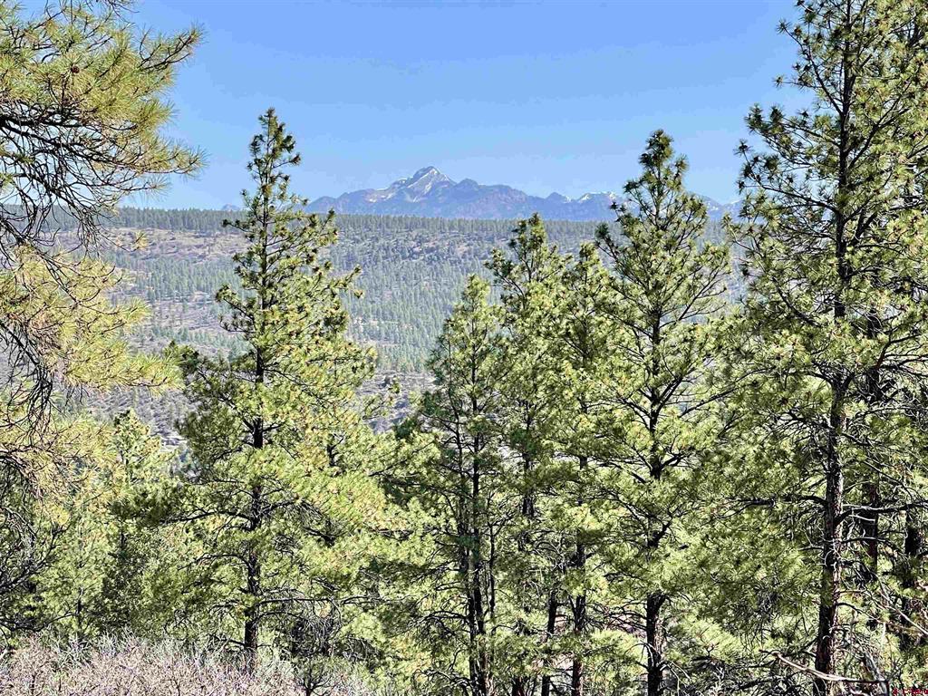 Photo 1 of 20 — 252 Starlight Place, Pagosa Springs, CO 81147