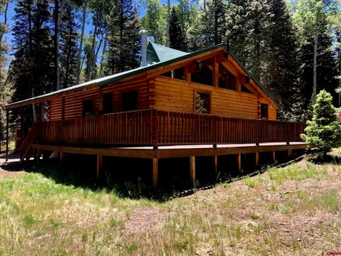Photo of 375 Balsam Road, Cimarron, CO 81220 (MLS # 838316)