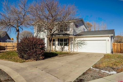 Photo of 270 Bristlecone Court, Montrose, CO 81403 (MLS # 830341)