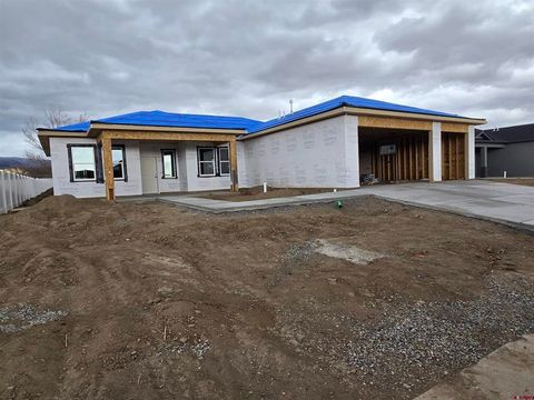 15069 Silver Belle Street Delta CO 81416