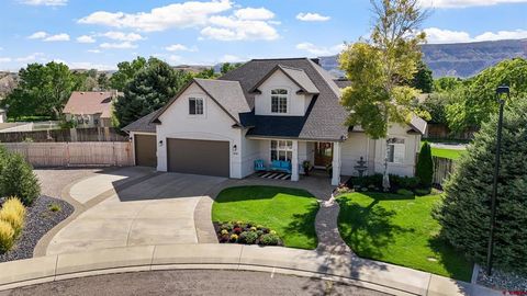 2135 Village Circle Court Grand Junction CO 81507