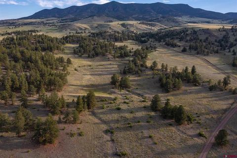 Inspirit Ranch Guffey CO 80820