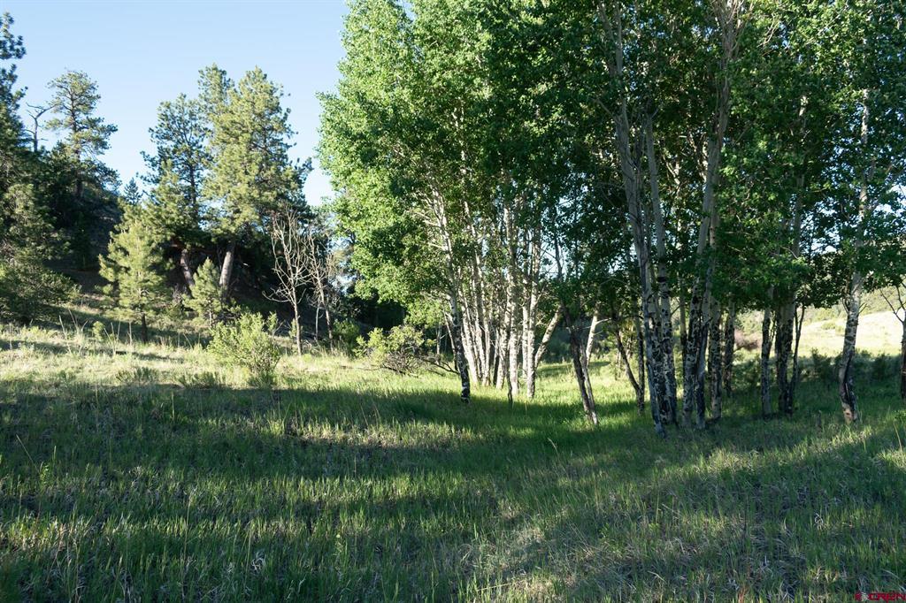 Inspirit Ranch