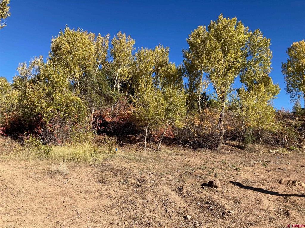 Photo 1 of 26 — 1590 SE 3rd Street, Cedaredge, CO 81413