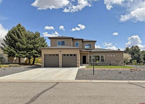 Photo of 1505 SE Stonebridge Drive, Cedaredge, CO 81413 (MLS # 833398)