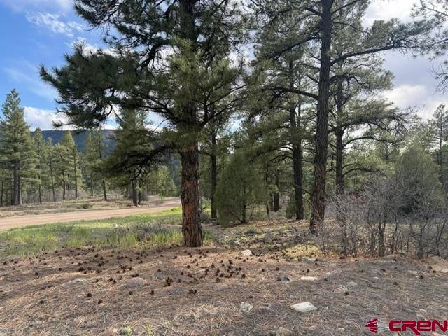 596 Ginger Cir, Pagosa Springs, CO 81147