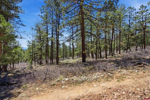 57 Wild Turkey Lane Bayfield CO 81122