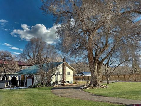 Photo of 458 Price Road, Paonia, CO 81428 (MLS # 831127)