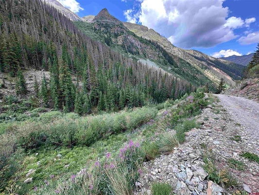 ADDRESS PRIVATE, SILVERTON, CO 81433 - Image 0b199be7c4d67750093aeeb2f1eefc07/150471420