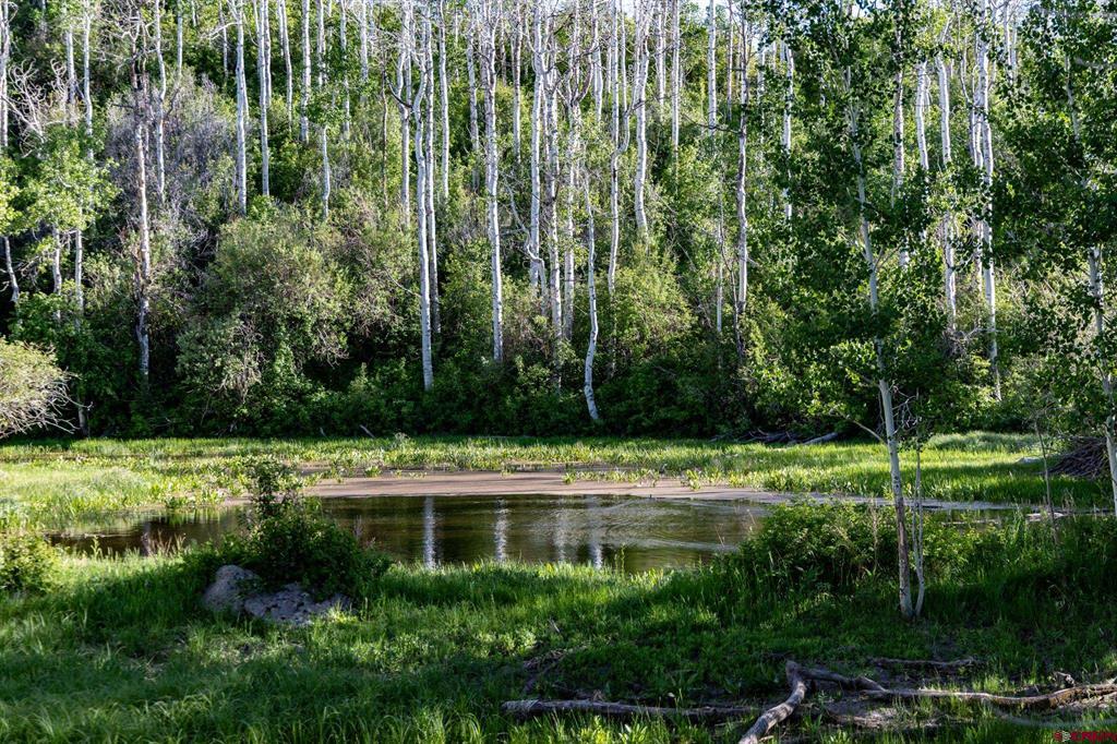 TBD Wapiti Trail
