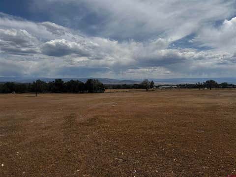 Photo of TBD 2550 Road, Cedaredge, CO 81413 (MLS # 835474)