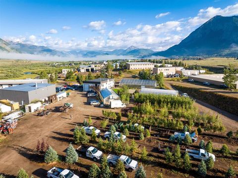 305 Buckley Drive Crested Butte CO 81224