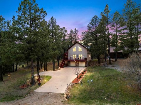 523 Dutton Drive Pagosa Springs CO 81147