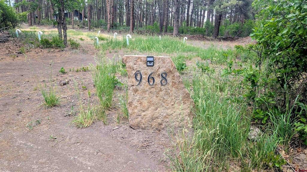 968 Raccoon Drive