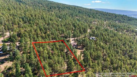 324 Hilltop Drive Bayfield CO 81122