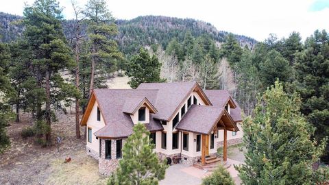 918 Escondida Drive South Fork CO 81154